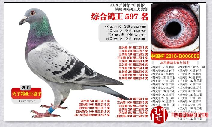 18年"铁鹰四关"3千元专环综合鸽王501-632名照片欣赏