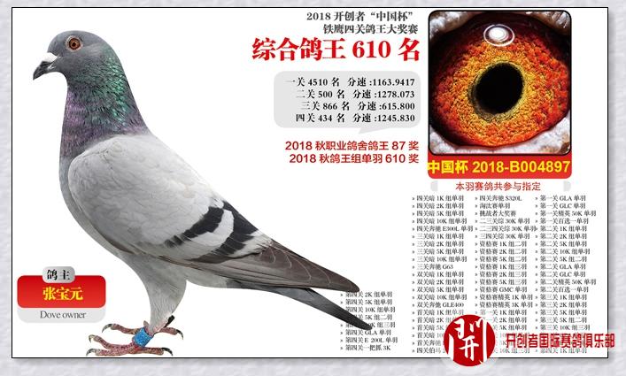 18年"铁鹰四关"3千元专环综合鸽王501-632名照片欣赏